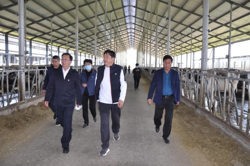 商丘市委常委、宣傳部部長王全周一行蒞臨睢縣瑞亞牧業(yè)有限公司調(diào)研